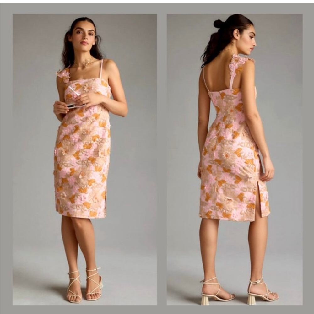 NWT Anthropologie 3D Floral Embroidered Midi Dress Size 14 Blush Asymmetric